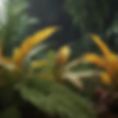 Pest Infestations Impacting Tropical Plant Health Identifying pest infestations on tropical foliage