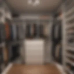 Visual representation of various closet depths and hanger types.