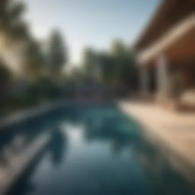 Different types of swimming pools displayed side by side