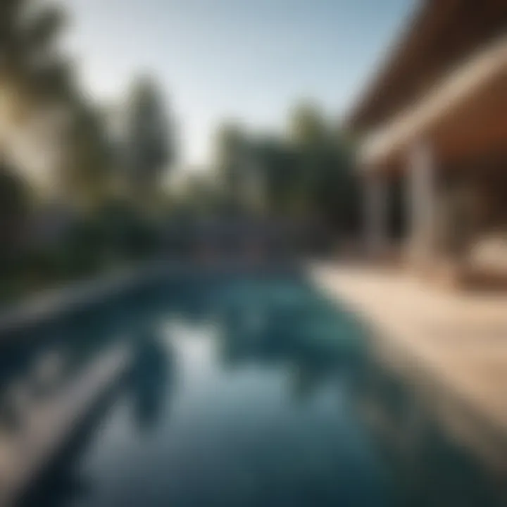 Different types of swimming pools displayed side by side