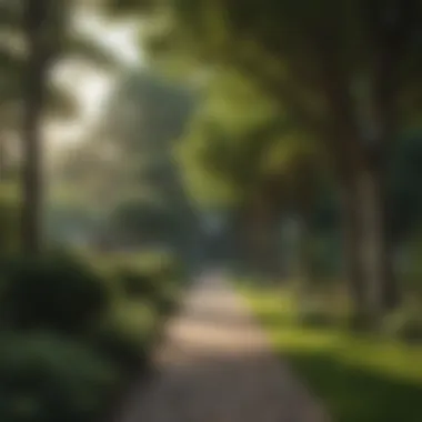 Comparing Tree Sizes in Landscaping Landscape showing various tree sizes in a garden