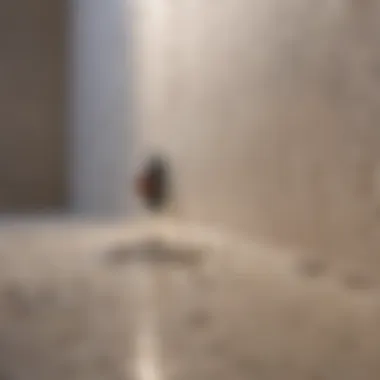 Moisture Detection in Gypsum Board Visual representation of moisture testing on gypsum board