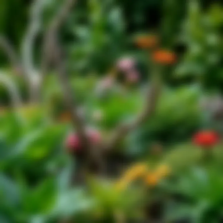 Lush green landscape showcasing various plants and flowers