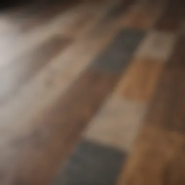 Close-up of various materials used in living flooring, showcasing texture and design.