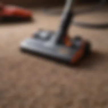 Essential Carpet Maintenance Tools Maintenance tools for carpet care arranged neatly