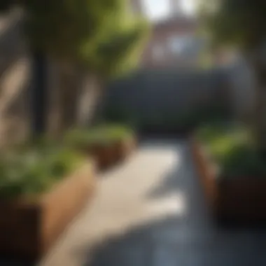 Urban garden featuring multiple tree planting boxes