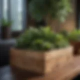 A wooden tree planting box with thriving plants