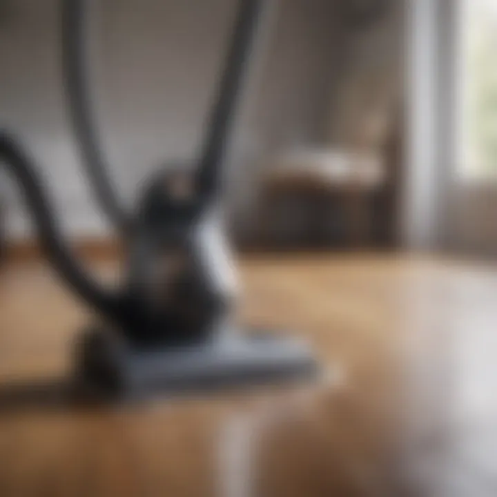 Vacuum cleaner effectively removing pet hair