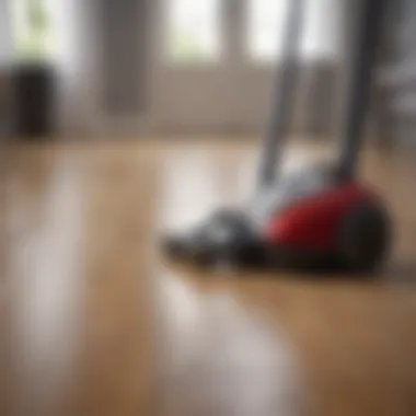 Efficient vacuum cleaner designed for wooden floors