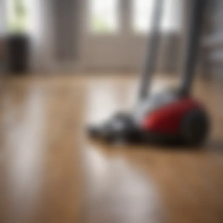Efficient vacuum cleaner designed for wooden floors