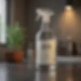 Vinegar and water solution in a spray bottle