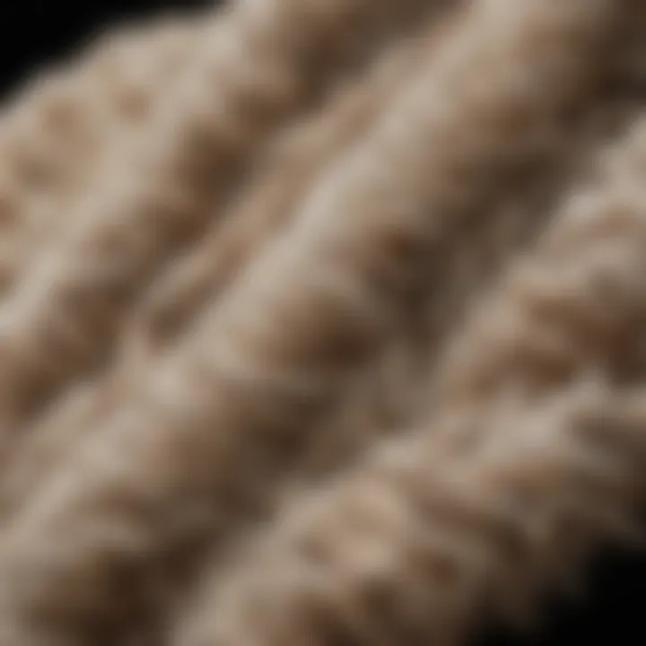 Close-up of wool fibers showcasing texture